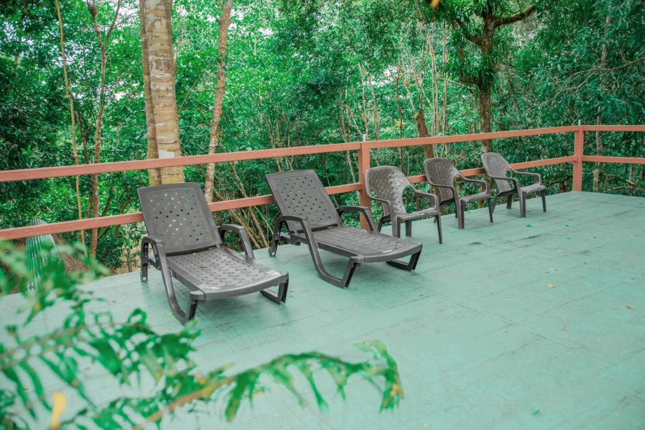 Caiman Eco Lodge Aguarico Bagian luar foto